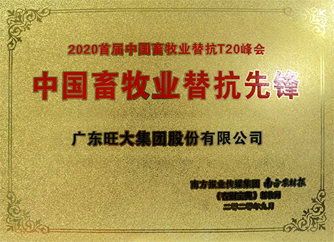 中國畜牧業替抗先鋒
